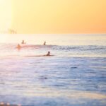 15534900_936053433161286_242105369445269504_n