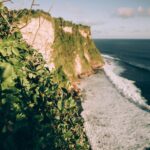 StockSnap_CXVCF2NNWJ